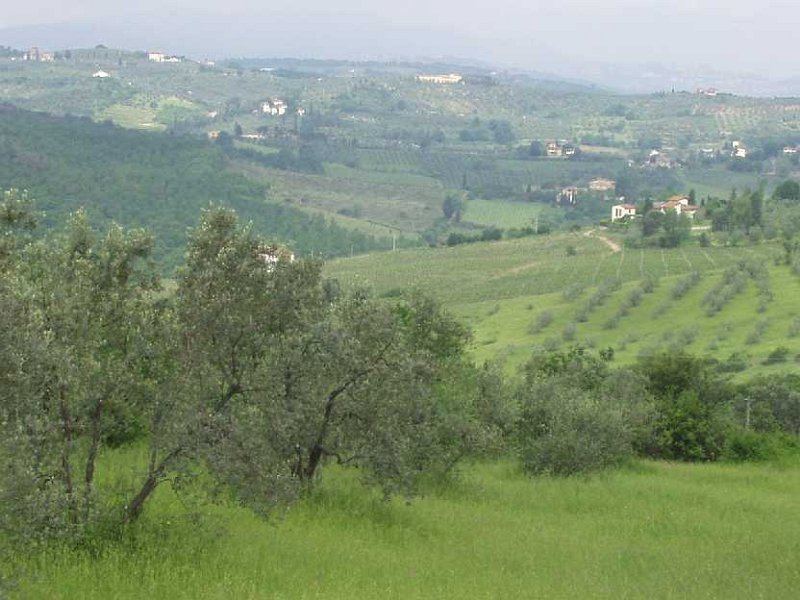 A8 Vista Roveta.JPG - VEDUTA VERSO SAN MARTINO ALLA PALMA